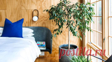 Apartment Therapy | Saving the world, one room at a time