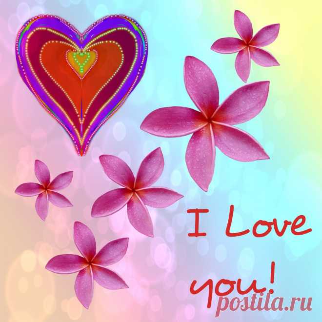 I Love You    ---  Free Stock Photo HD - Public Domain Pictures