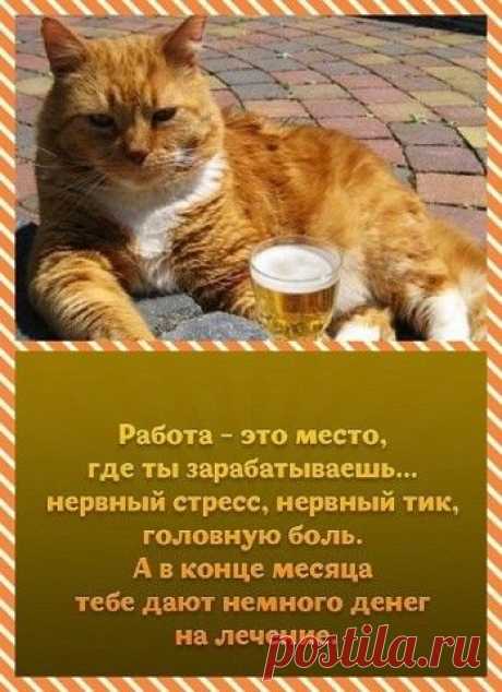(114) Pinterest