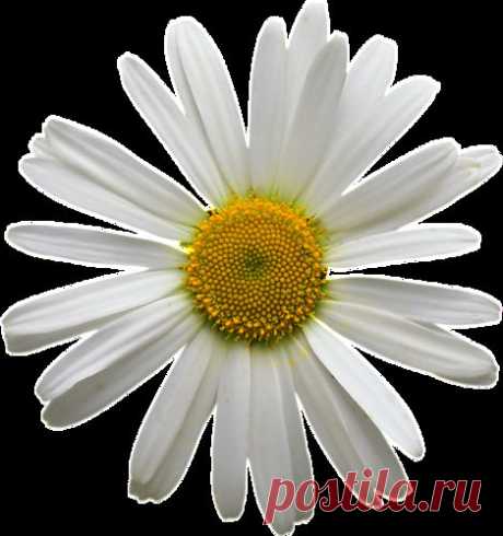 очень полезные мелочи актуальные и всегда нужные