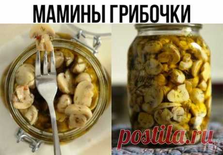 Мамины грибочки
