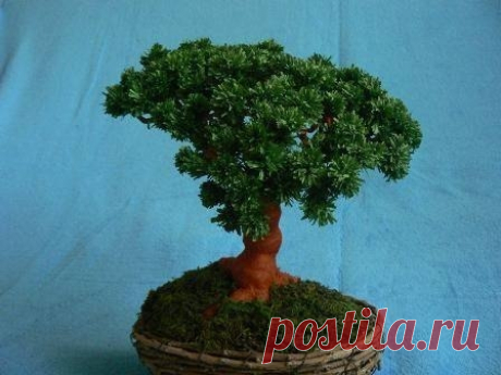 Бонсай из гофрированной бумаги — Сделай сам, идеи для творчества - DIY Ideas