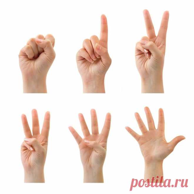 Пальчиковая гимнастика. Что это такое
