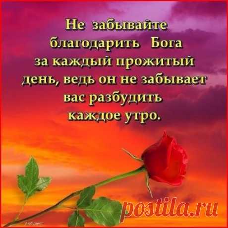 За каждый шаг, за каждый вздох, 
За то, что дал мне Бог. 
За боль, за счастье, за удачу, 
За то что я смеюсь и плачу, 
За то что я ещё люблю, 
За всё Тебя Господь благодарю!