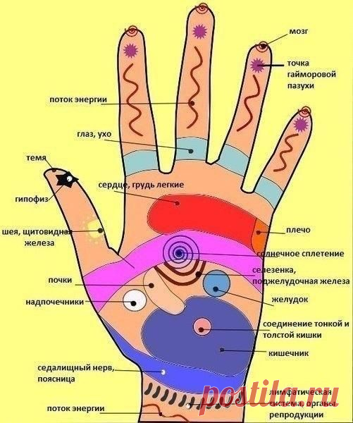САМОМАССАЖ, БИОЛОГИЧЕСКИ АКТИВНЫЕ ТОЧКИ.