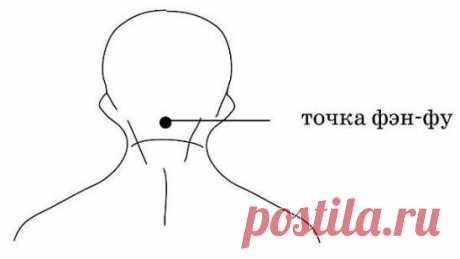 ТОЧКА ФЭН-ФУ И ОМОЛОЖЕНИЕ ОРГАНИЗМА. НЕВЕРОЯТНО - НО ФАКТ!
