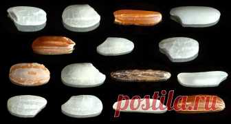 Каким бывает рис Рассматриваем самые популярные виды и сорта