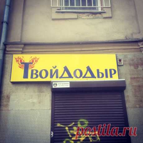 ТвойДоДыр — Маразм дня,