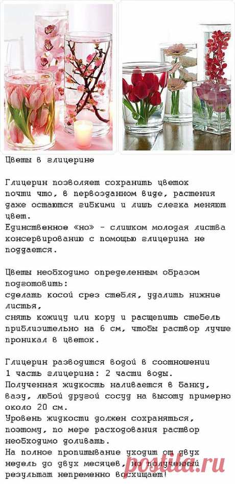 ЦВЕТЫ В ГЛИЦЕРИНЕ - ОСТАНОВИСЬ ЦВЕТУЩИЙ МИГ!.