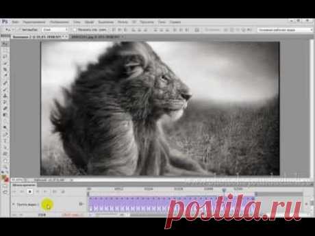 PhotoshopSunduchok - О чёрно-белых фотографиях и проблемах перевода цветной фотографии в изображение в градациях серого