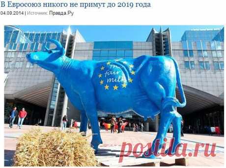 Новости