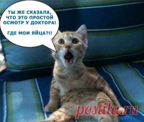 Новости
