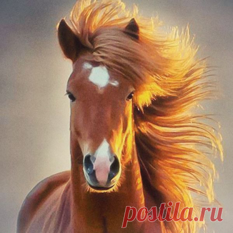 Любимые рецепты и другие популярные материалы на Постиле - alpomena@mail.ru - Почта Mail.Ru