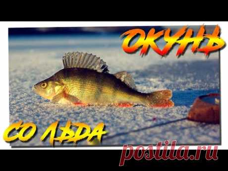 Рыбалка на ОКУНЯ со льда в глухозимье