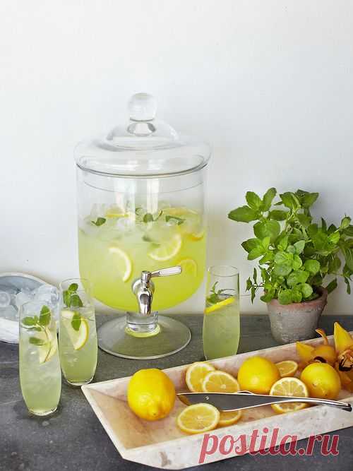 The lemon (Citrus limon) is a species of small evergreen trees in the flowering plant family