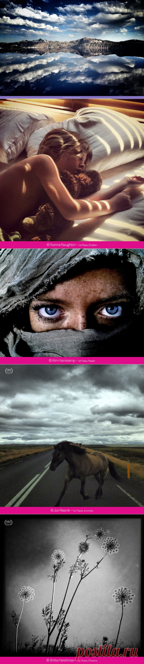 iPhone Photography Awards 2013 : НОВОСТИ В ФОТОГРАФИЯХ