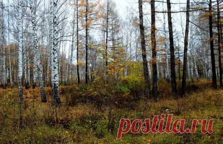 ФОТОМАСТЕРСКАЯ ПРИРОДЫ
Ольга Николаевна Горкун