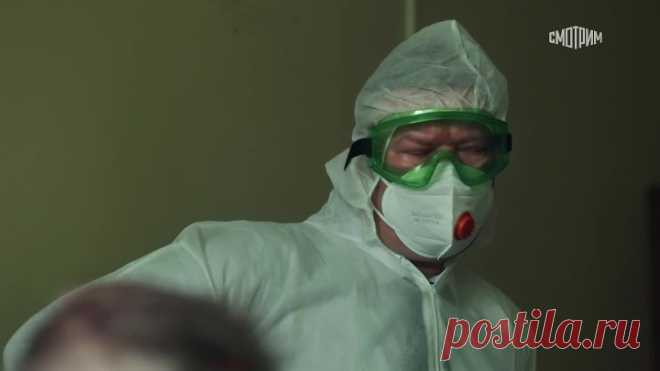 +Профессионал - 2