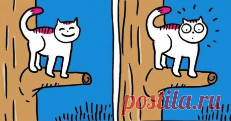 Художник рисует милые комиксы о котиках. Сохраните себе эти картинки, чтобы спасаться ими от плохого настроения . Милая Я