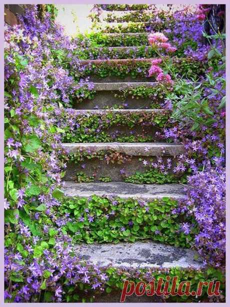 Timeline Photos - Sociedad Argentina de Horticultura