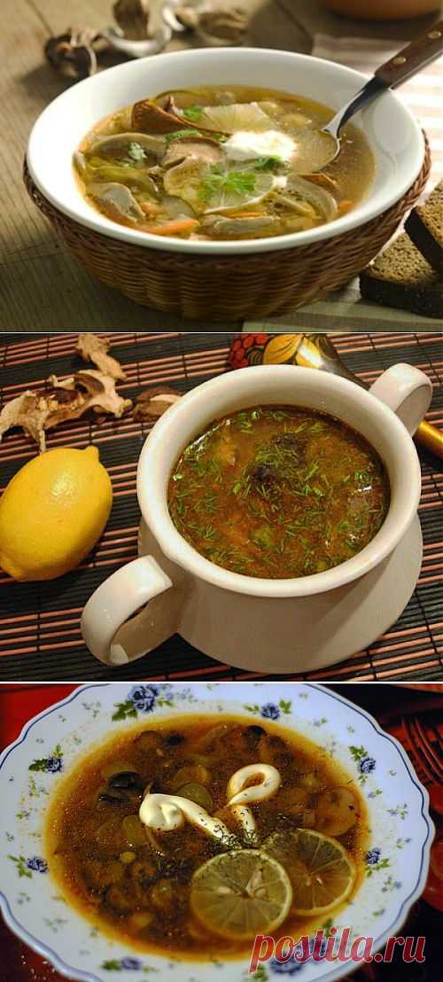Солянка бывает разной: 4 рецепта вкусных грибных солянок / Простые рецепты