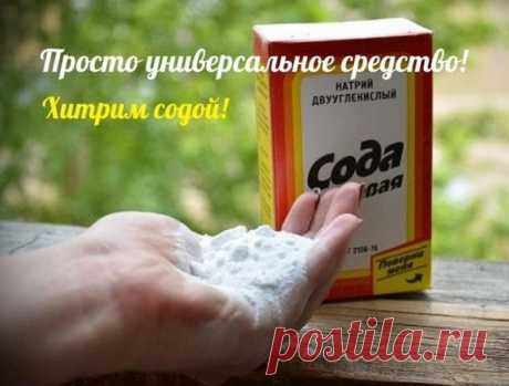 Сода - просто универсальное средство! Не платите за дорогой смягчитель для мяса &ndash; это та же наша сода, но в фантике красивом. Вам нужно, чтобы мясо быстро прожарилось -протушилось, да еще чтобы мягким было? Губа не дура, все хотят эдак-то...
