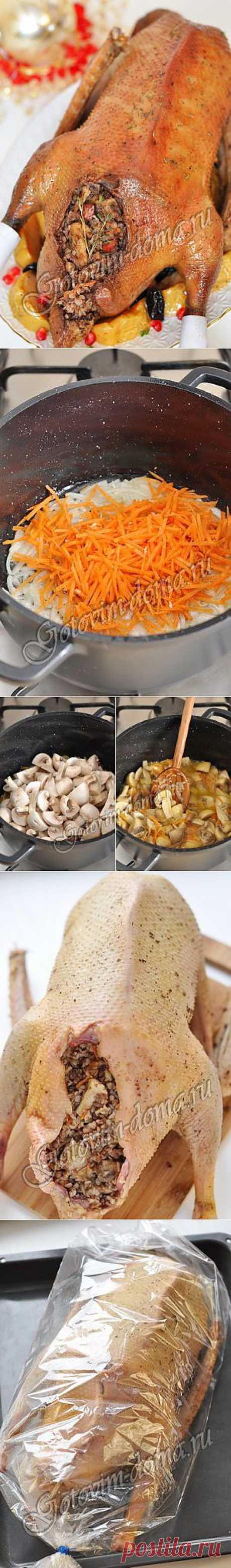 Рецепт: Гусь, фаршированный гречкой и грибами