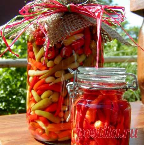 Мариную горький (жгучий) перец: острая вкуснятина зиму. Рецепт с огоньком и с изюминкой | В саду у Валентинки | Яндекс Дзен