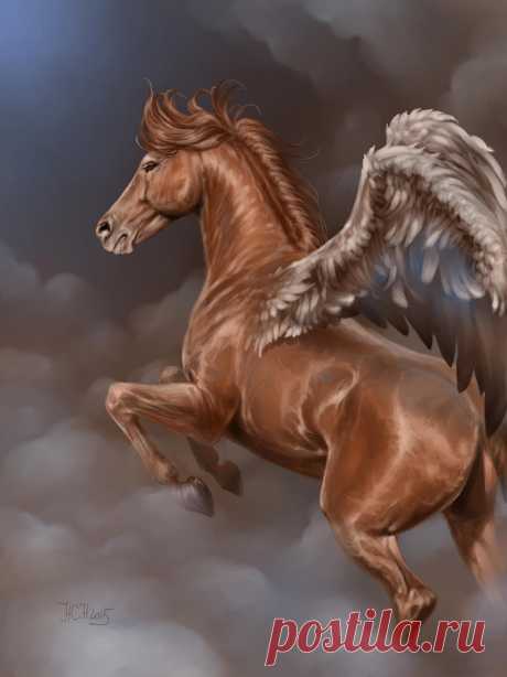 flight of freedom by Animal75Artist on DeviantArt