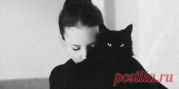 НЕ ВЫХОДЯТ ВЕДЬМЫ ЗАМУЖ — ОНИ КОТОВ ЗАВОДЯТ. ЧЁРНЫХ.
Стихотворение четко отображающее женскую сущность. Не без иронии 😉 Это стихотворение, полное иронии и юмора, не оставит никого равнодушным: Я ненавижу мелодрамы, Не признаю советов вздорных. Ну, не выходят ведьмы замуж, Они котов заводят. Чёрных. И где вы видели, чтоб ведьмы Готовили котлеты мужу?, Да что мне делать с ним, ответьте? И для чего он […]
Читай пост далее на сайте. Жми ⏫ссылку выше