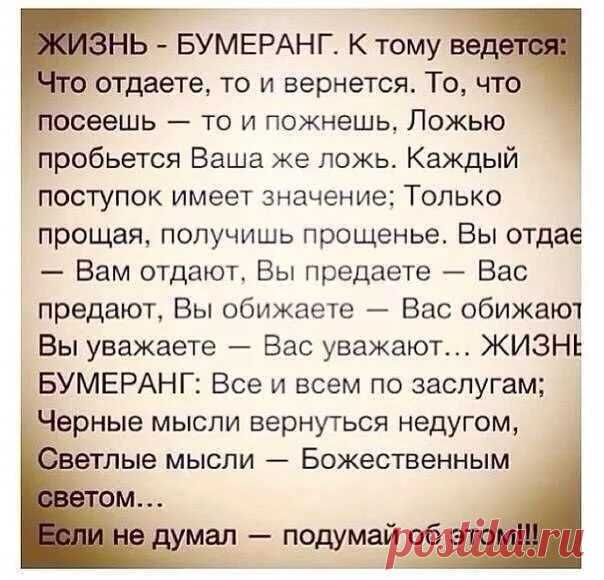 Яндекс Картинки: поиск похожих изображений