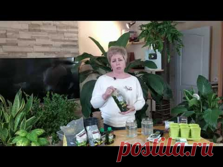 Подкормка и основные три кита для правильного развития растений / СОВЕТ ЭКСПЕРТА