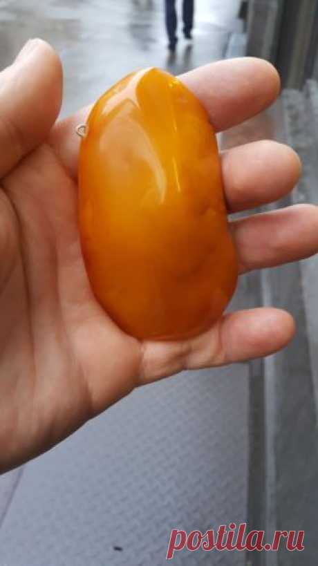 Natural Old Antique Yellow Butterscotch Egg Yolk Baltic Amber Stone 53 39 GR | eBay