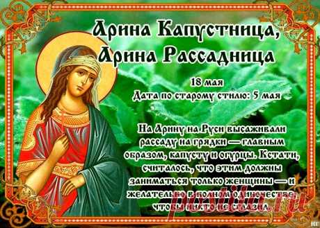 18 мая День Арины Капустницы и святой Ирины Македонской - традиции &amp;raquo; Женский Мир
