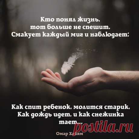 Антонина Дмитрук