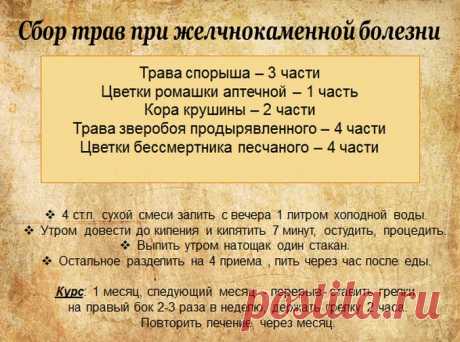 Чем растворить камни в желчном пузыре — Все о печени
