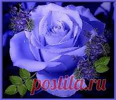 фото цветы анимация: