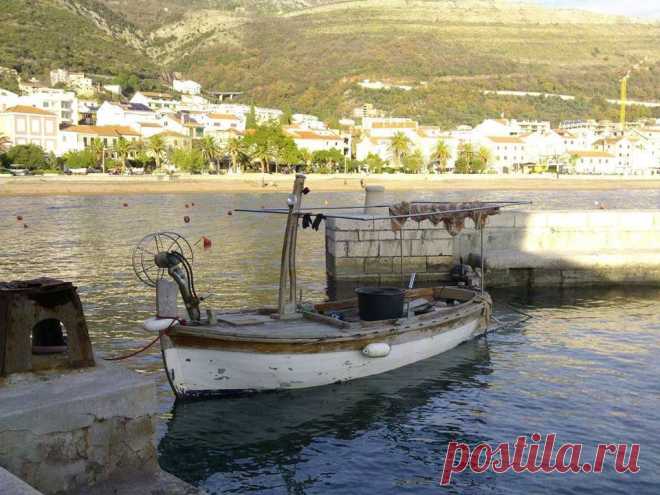 (4) Фејсбук  Petrovac