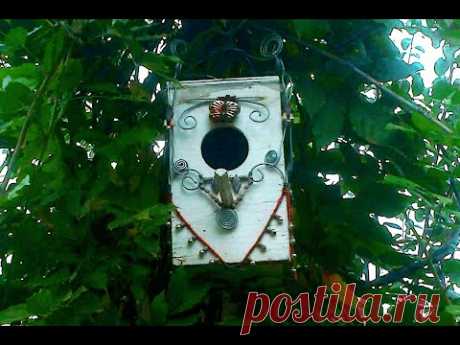 Дизайнерский домик для птиц в саду (Birdhouse)