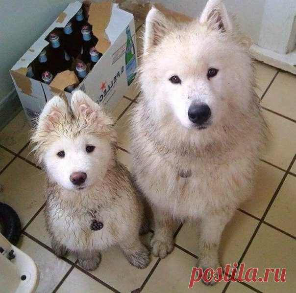 Отец и сын.