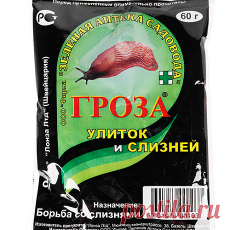 Борьба с улитками — жесткий ответ скользкому врагу