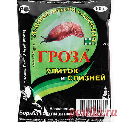 Борьба с улитками — жесткий ответ скользкому врагу