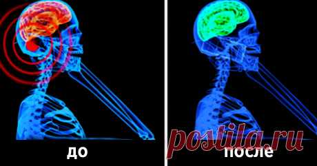 Внимание! Защити себя от радиации сотового телефона с помощью этого 1 простого растения! Знаете ли вы что, есть метод, с помощью которого можно защитить себя от этих излучений?