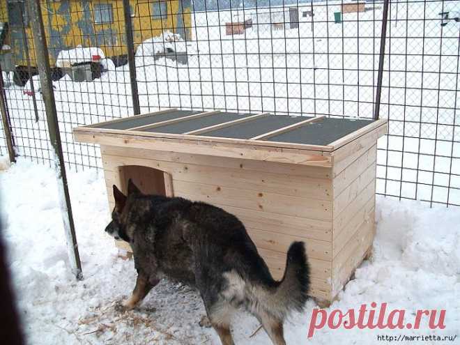 Домик для любимой собаки