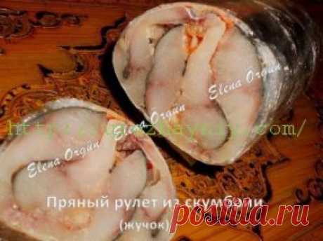 Жучок из скумбрии