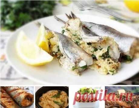 5 рецептов вкусных блюд из недорогих видов рыбы Путассу, фаршированная брынзой ▬▬▬▬▬▬▬▬▬▬▬▬▬▬▬▬▬▬▬▬▬▬▬▬▬▬▬ Путассу - одна из самых недорогих рыб. Так сложилась, что путассу в основном покупают для домашних питомцев. И зря! Из этой рыбки можно...