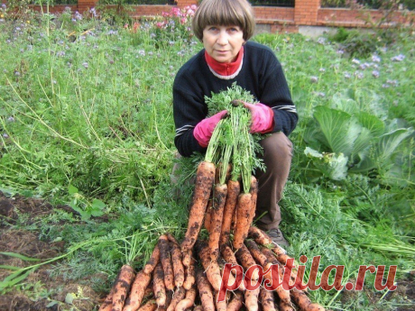 Татьяна Карпова - Алма-Ата, Казахстан, 54 года на Мой Мир@Mail.ru