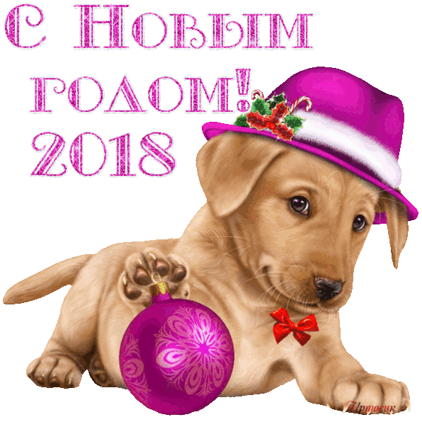 С китайским новым годом собаки. Календарь год собаки. Календарь собака. Символ года 2018. Год собаки когда был.