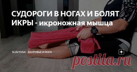 СУДОРОГИ В НОГАХ И БОЛЯТ ИКРЫ - икроножная мышца Героем этой публикации будет икроножная мышца, которая, поражаясь триггерными точками, может вызывать боль по задней поверхности бедра, коленного сустава, голени и в стопе, а также может являться причиной ночных судорог и перемежающей хромоты.

Ниже мы подробно разберём её анатомию, функции и лечебные упражнения, которыми можно самостоятельно помочь себе в домашних условиях.