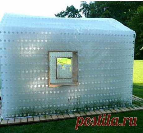Теплица из пластиковых бутылок
